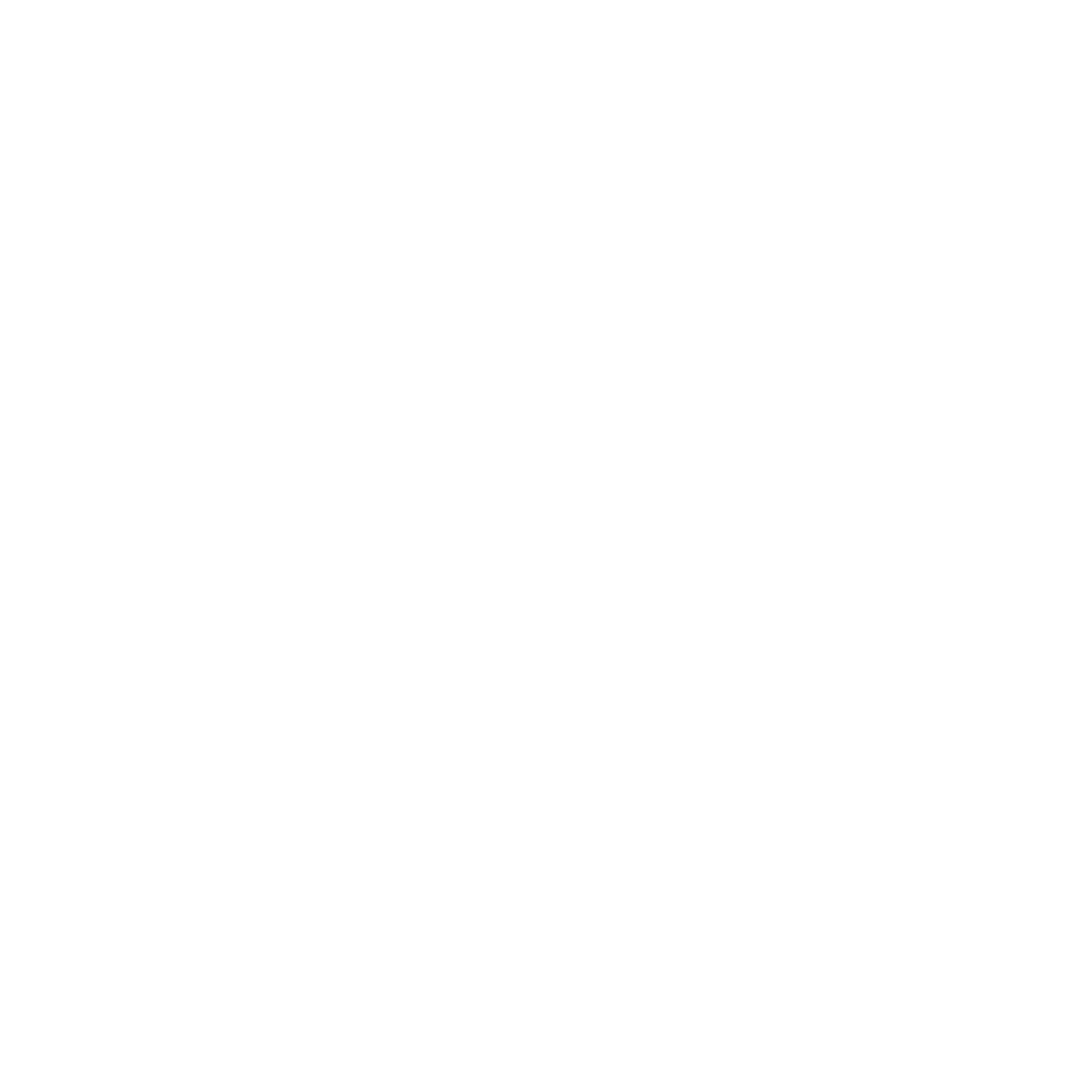 Cleanz logo